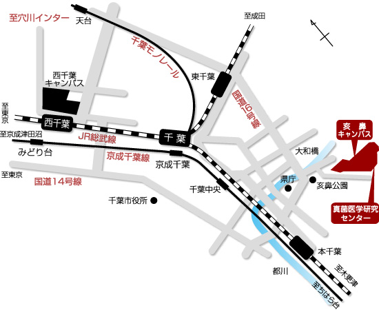 亥鼻キャンパスの周辺地図