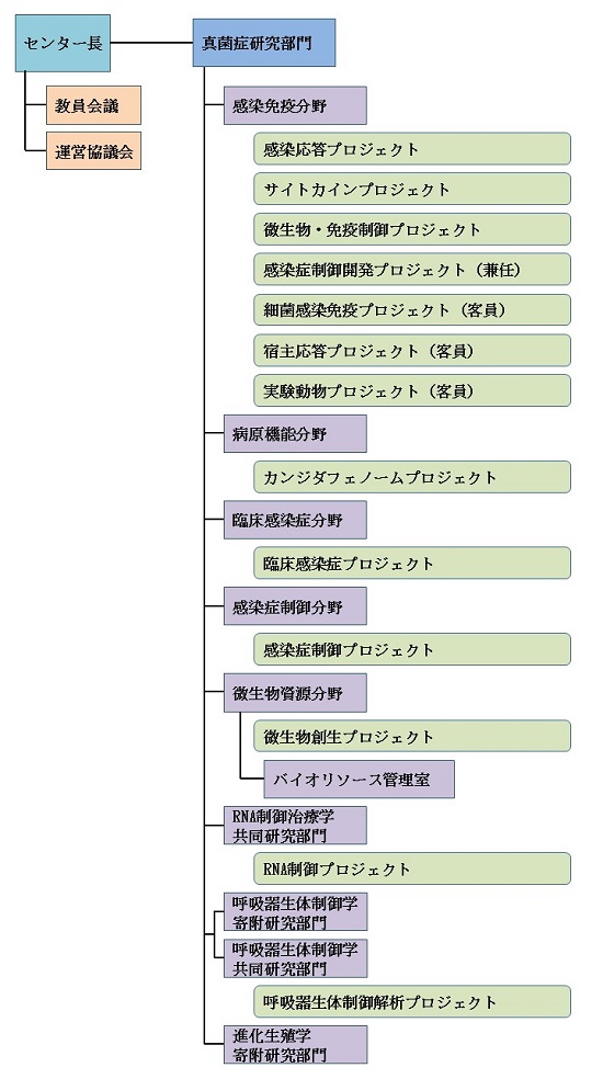 組織図