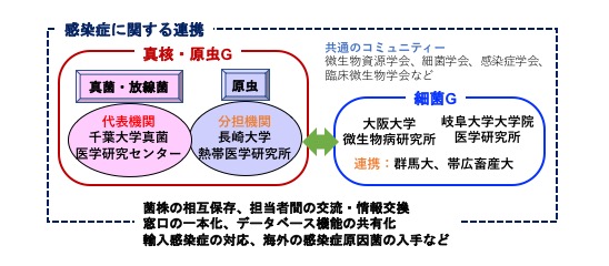 ナショナルバイオリソース イメージ