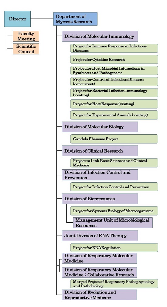 Organization Chart