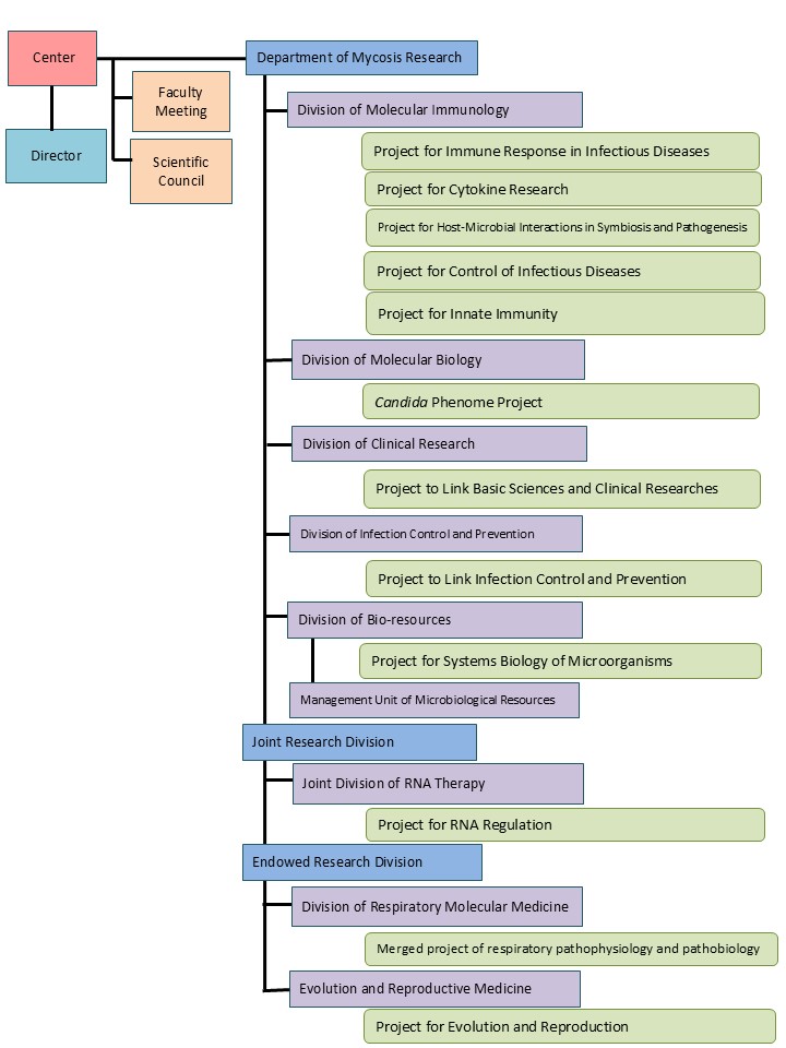 Organization Chart