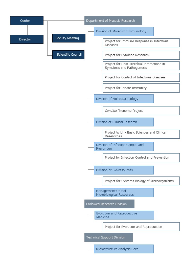 Organization Chart