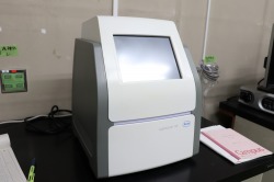 リアルタイムPCR