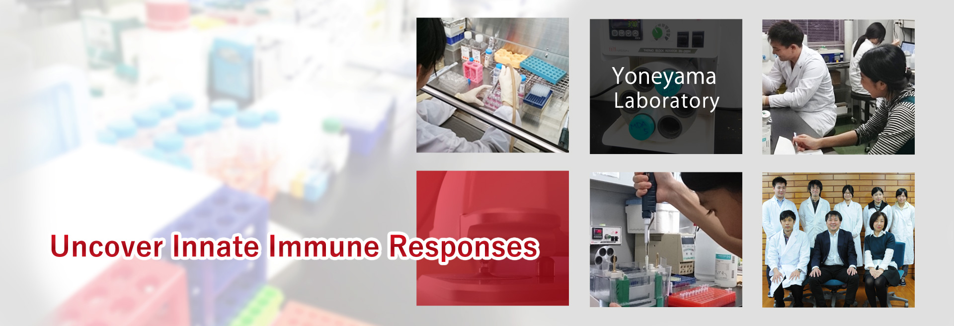 Uncover Innate Immune Responses
