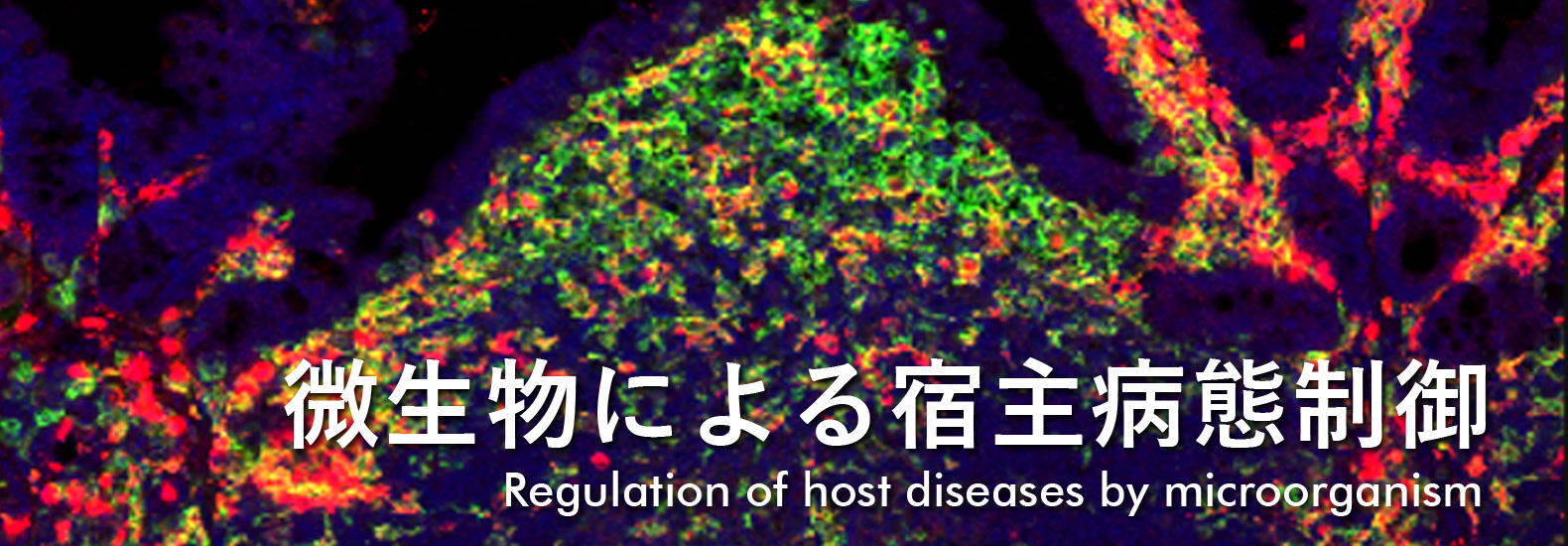 微生物による宿主病態制御 Regulation of host diseases by microorganism