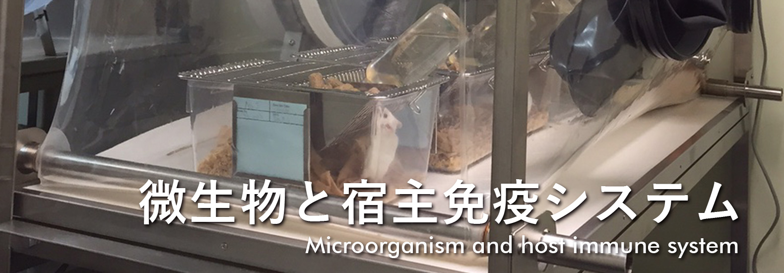 微生物と宿主免疫システム Microorganism and host immune systems